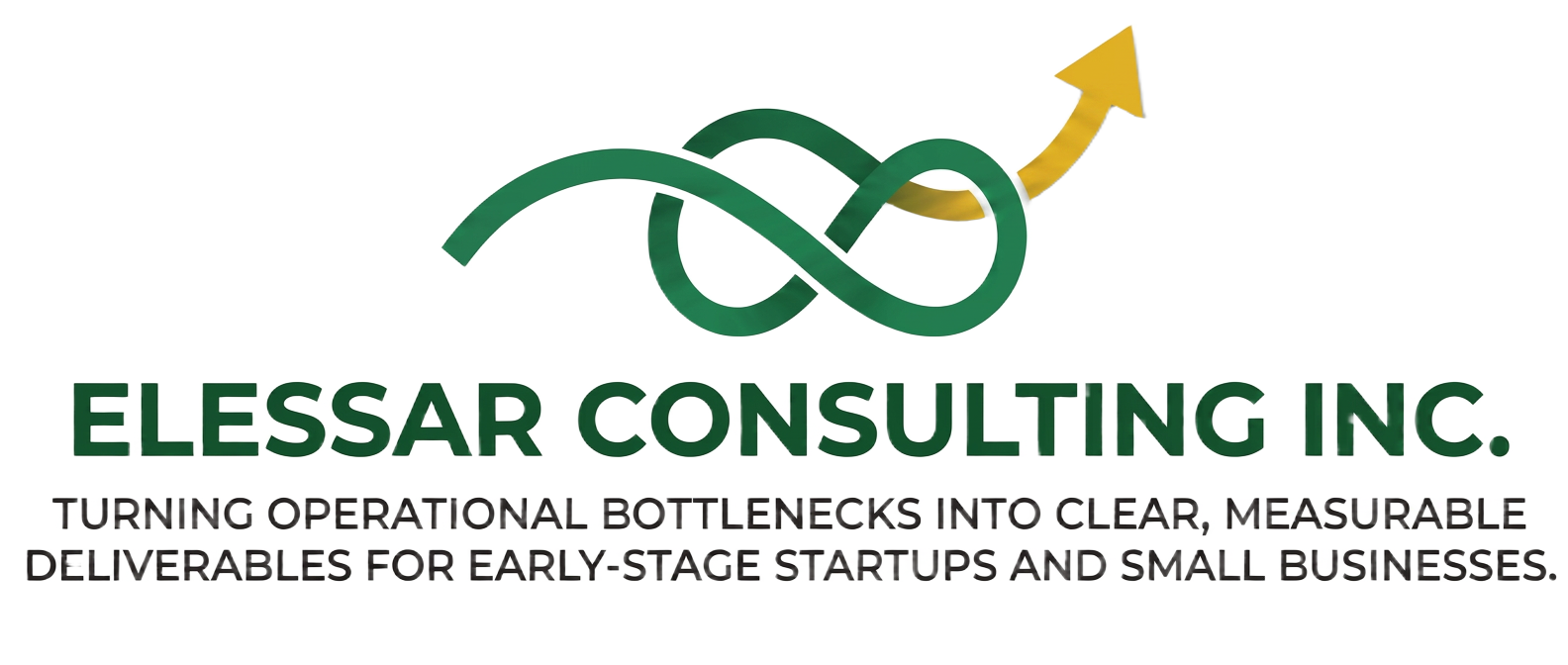 Elessar Consulting Inc. — Turning operational bottlenecks into clear, measurable deliverables for early-stage startups and small businesses.